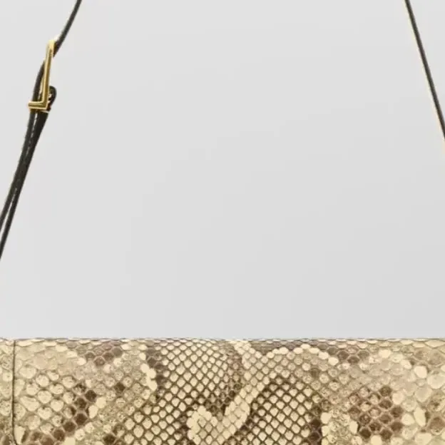 Valentino Garavani Snake Print Shoulder Bag beige, détail
