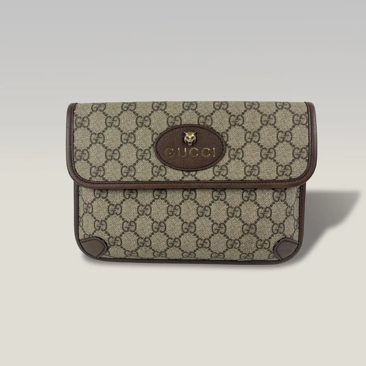 Gucci Neo Vintage in Beige, photo 2