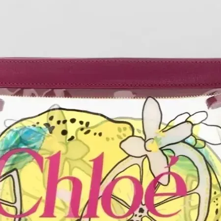 Chloé Printed Clutch in Pink, detail